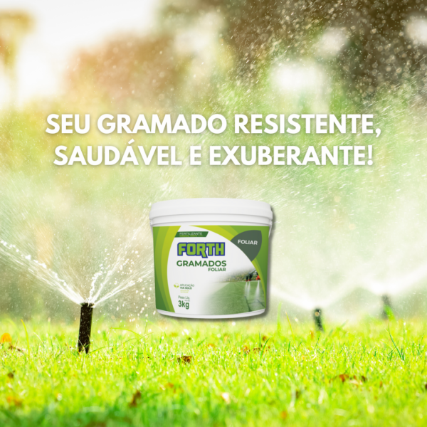 Adubo Forth Gramados - Imagem 7